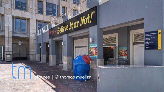 Ripley's Believe It Or Not Cape Town